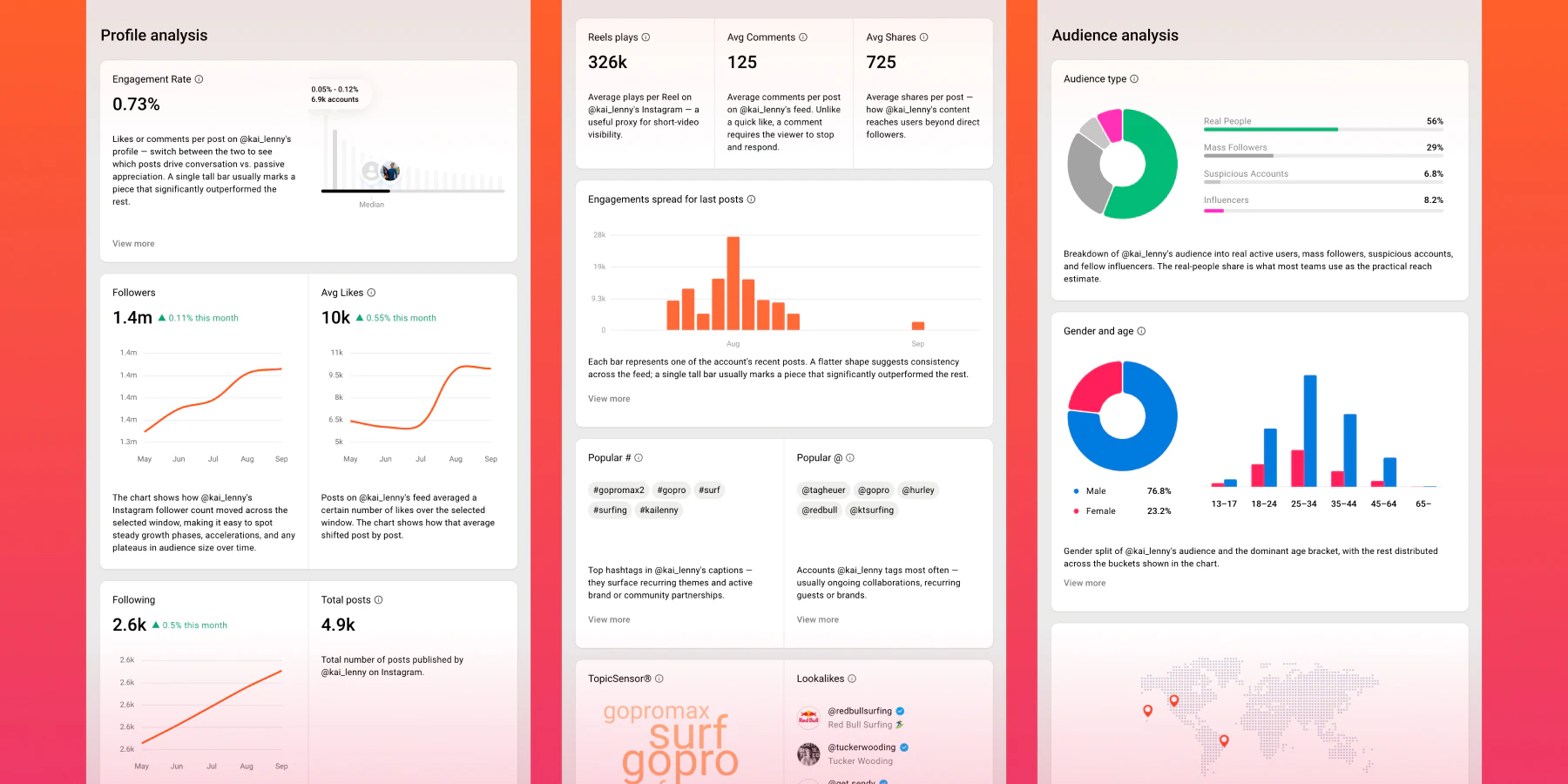 Profile performance, engagement charts and audience demographics in&nbsp;an&nbsp;influencer analysis report