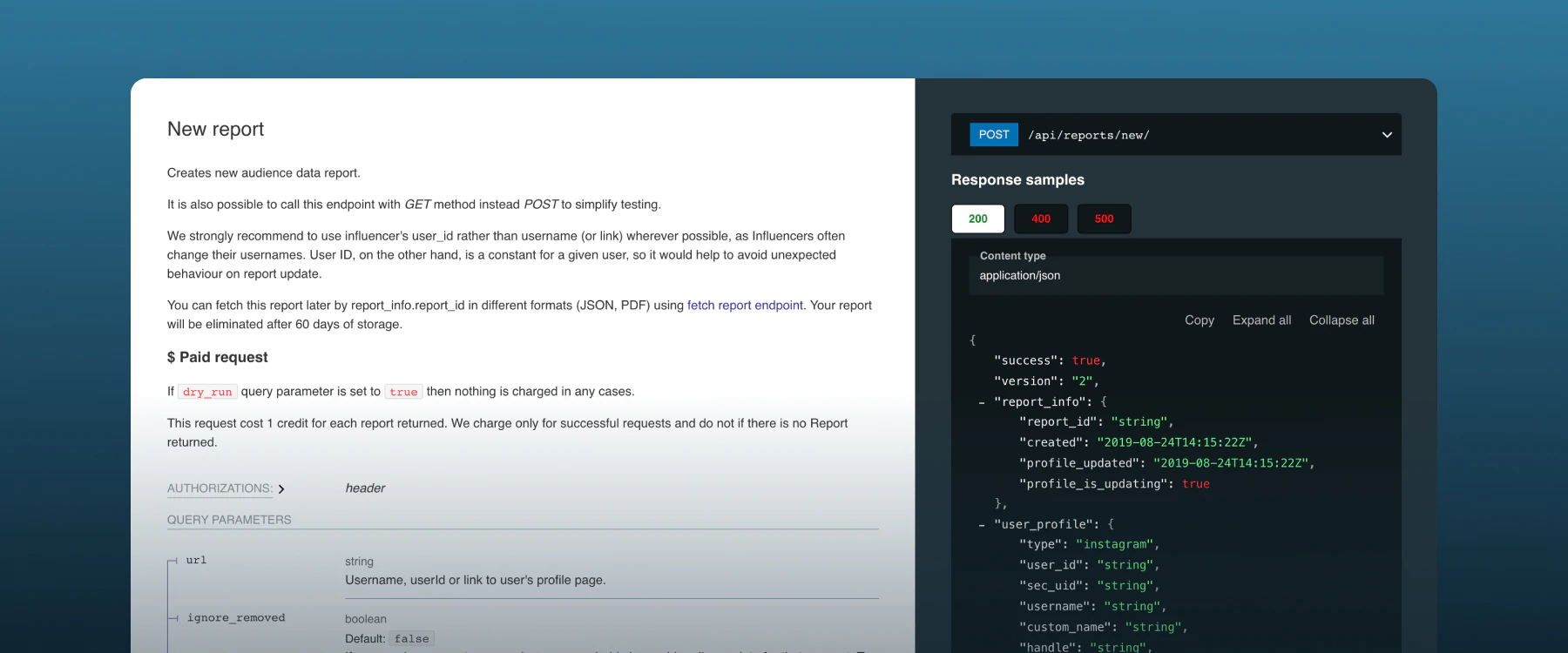 API report endpoint with request parameters and JSON response samples