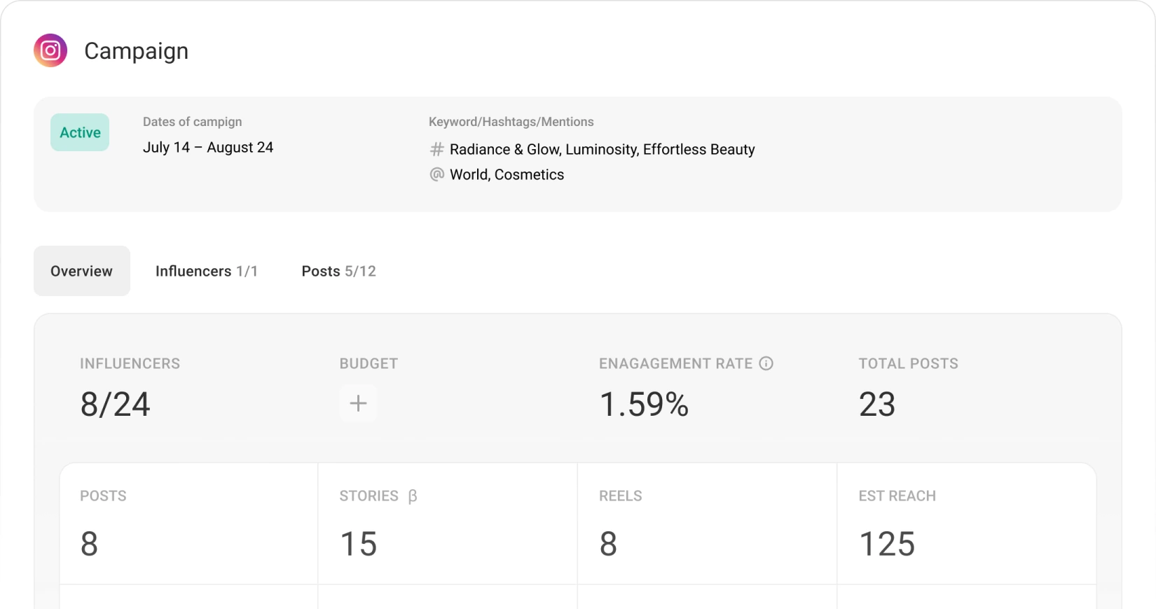 Campaign overview with influencer count, engagement rate, posts, stories, reels and estimated reach